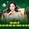 Thống kê Đặc Biệt theo hiệu – Dự đoán hiệu Kqxs miền bắc